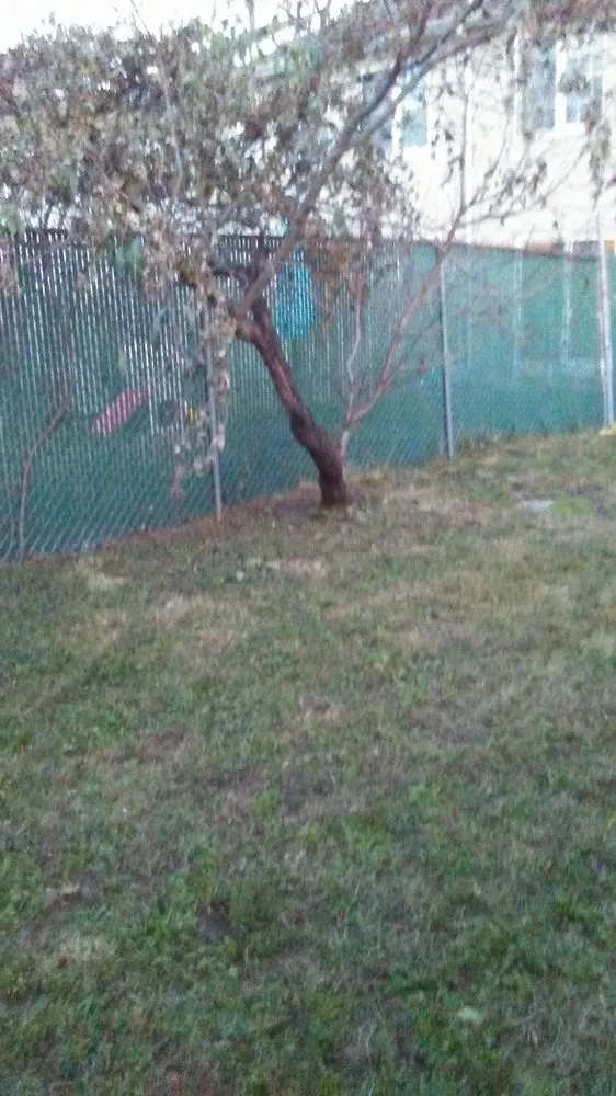 Professional landscaping services experts serving Camden, NJ - Prestige Management