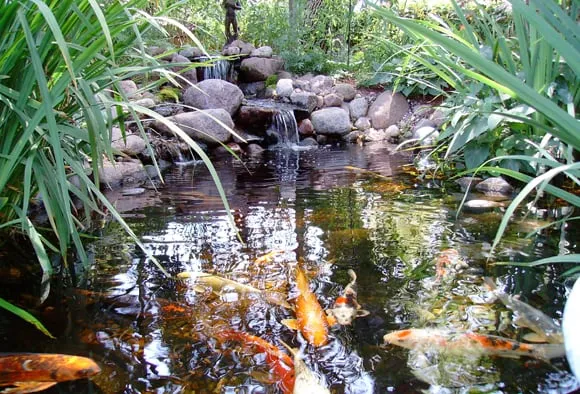 Trusted landscape installation in Kansas City, MO - Prestige One Landscaping