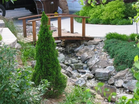 Top-rated yard cleanup service experts serving Kansas City, MO - Prestige One Landscaping