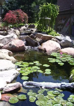 Top-rated landscape installation for outdoor upgrades in Kansas City, MO by Prestige One Landscaping