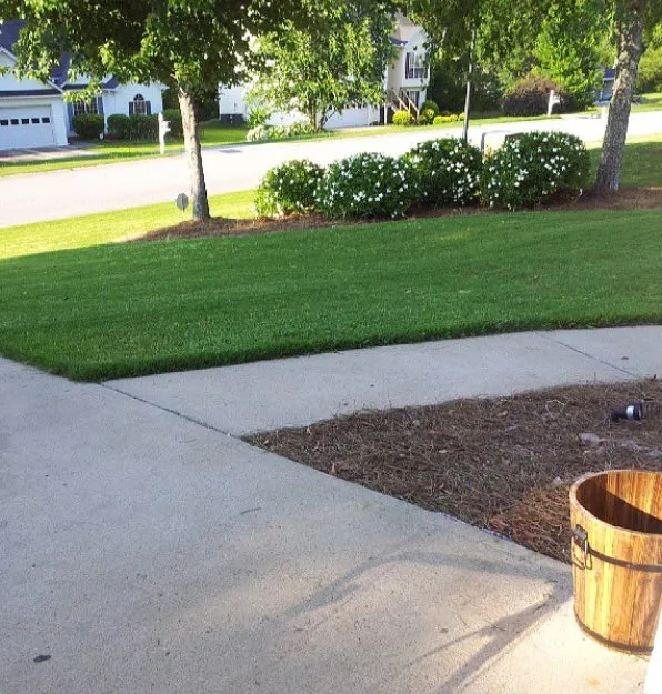 Custom outdoor landscaping in Bethlehem, GA - Prestige Partners Lawn Care