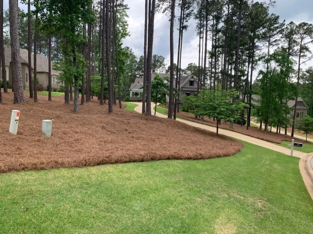 Professional landscape installation experts serving McIntyre, GA - Prestige Pinestraw & Outdoor Solutions