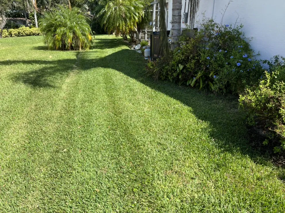 Custom outdoor landscaping for year-round maintenance across Daytona Beach, FL - Prestige Property Preservation Worldwide