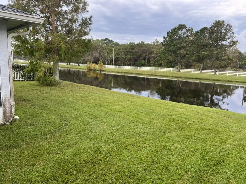 Expert lawn mowing service in Daytona Beach, FL by Prestige Property Preservation Worldwide