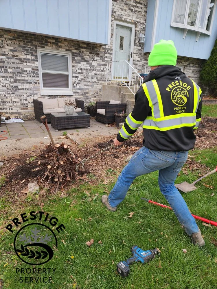 Reliable yard cleanup service in Schererville, IN - Prestige Property Service