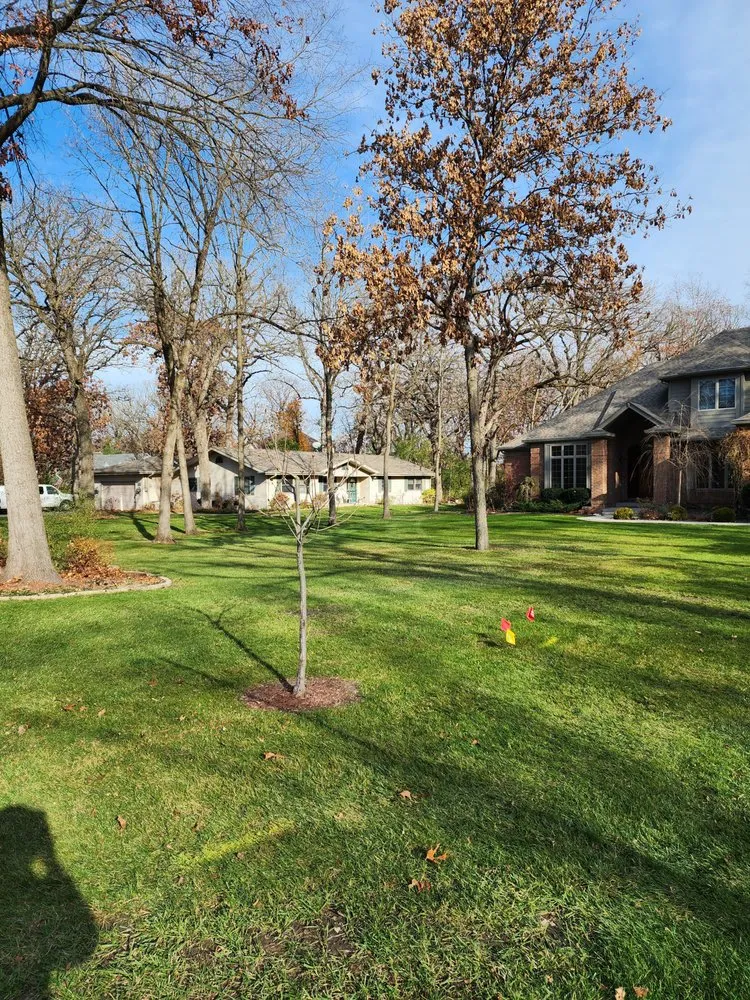 Local outdoor landscaping in Schererville, IN - Prestige Property Service