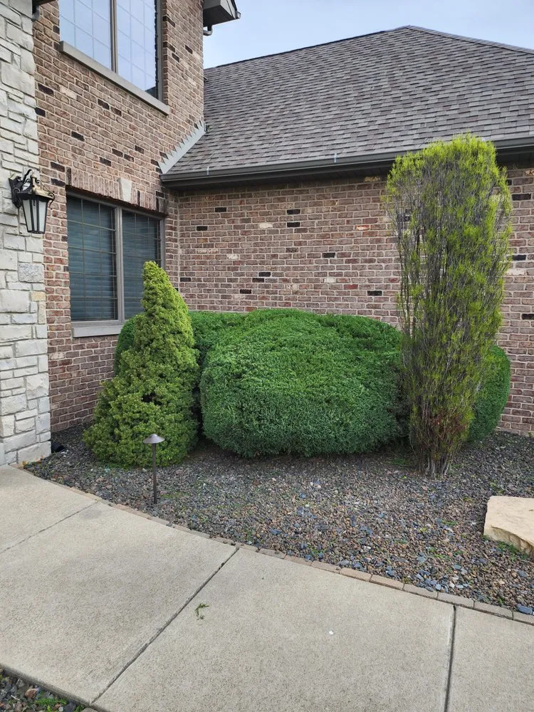 Local yard maintenance for outdoor upgrades across Schererville, IN - Prestige Property Service