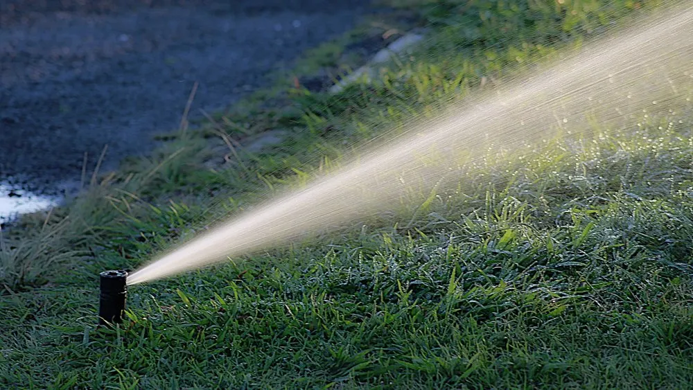 Professional outdoor landscaping with custom design across Salem, UT - Prestige Property Services