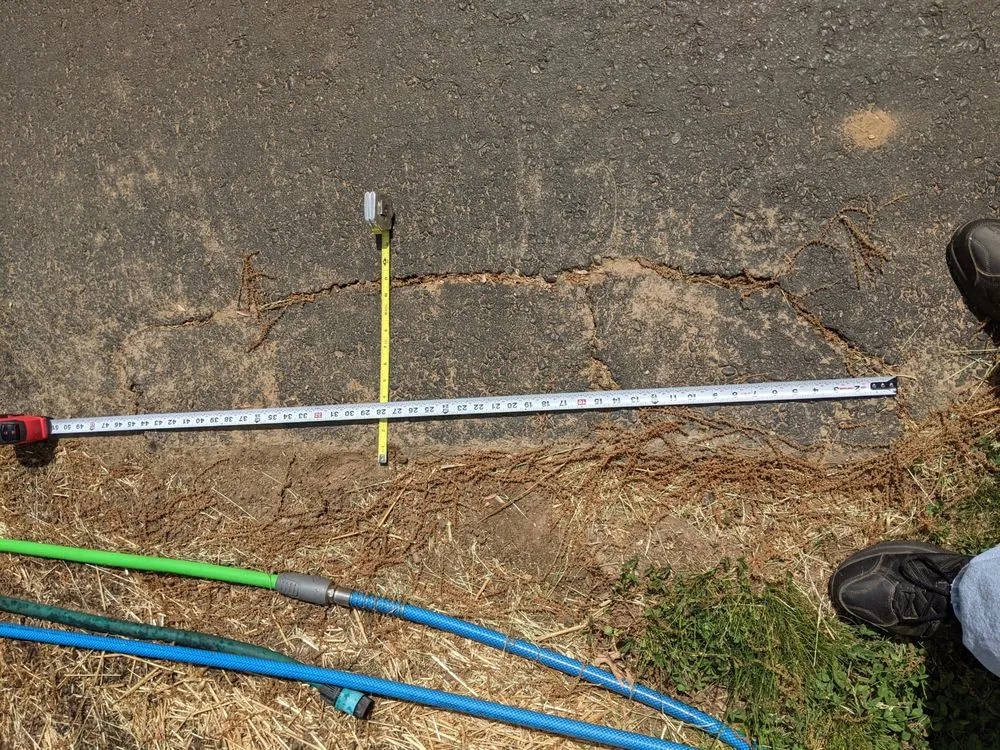 Reliable lawn care service for homes in Canterbury, CT by Prestige Property Solutions