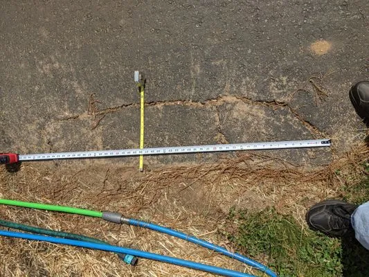 Prestige Property Solutions