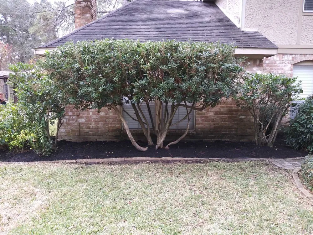 Reliable lawn care service in Houston, TX by Prestige Service Group