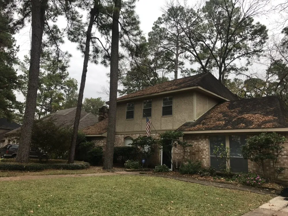 Top-rated landscape installation in Houston, TX by Prestige Service Group