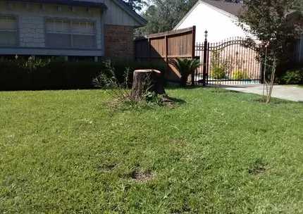 Expert yard cleanup service for residential properties in Houston, TX by Prestige Service Group