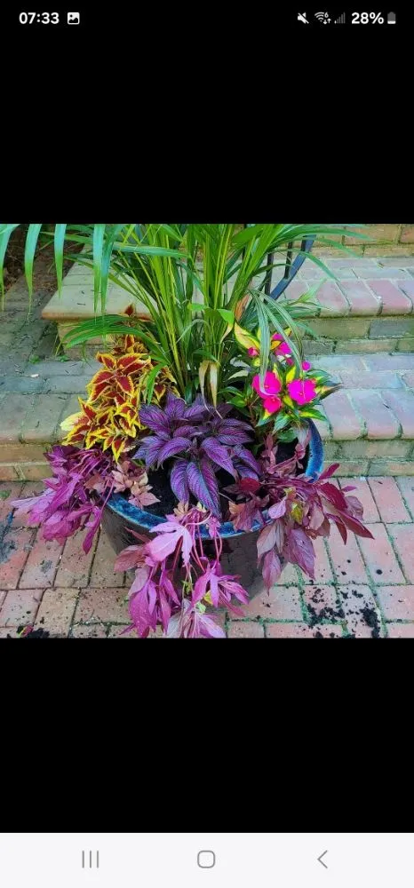 Custom outdoor landscaping for beautiful yards in Fulton, OH by Prestige Site Enhancements