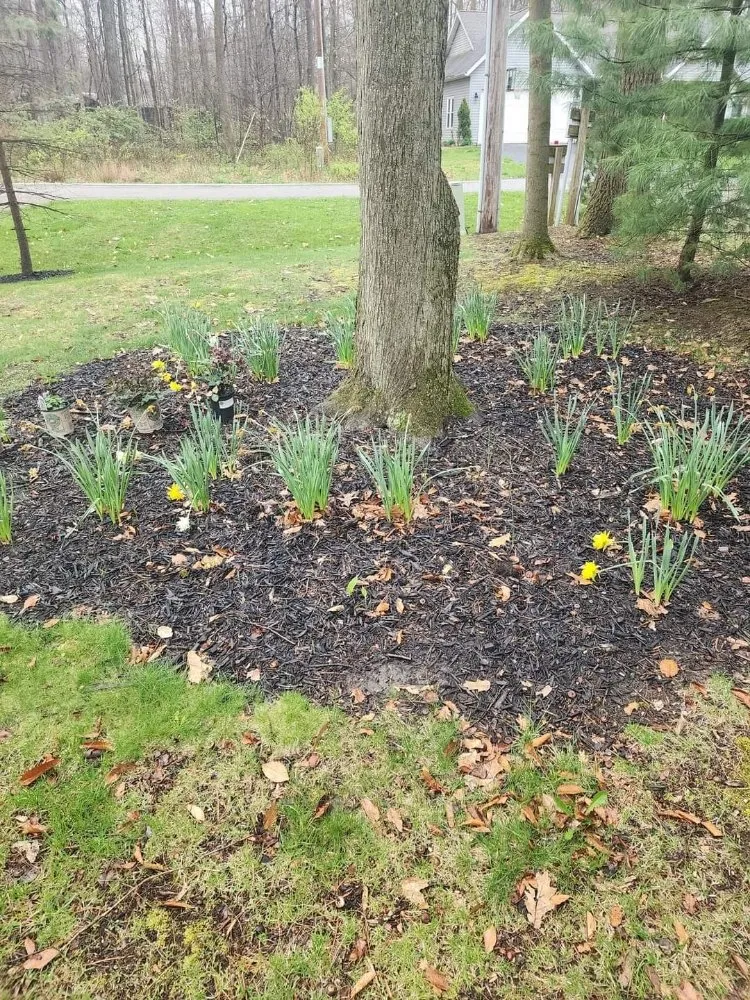 Professional landscape design for residential properties in Fulton, OH by Prestige Site Enhancements