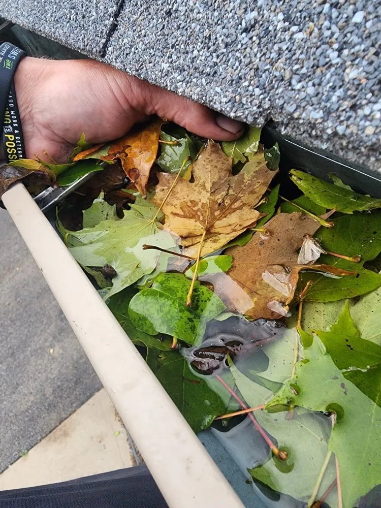 Top-rated landscaping services experts serving Fulton, OH - Prestige Site Enhancements