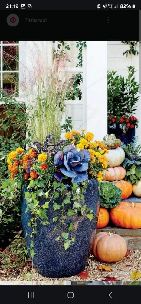 Trusted yard maintenance in Fulton, OH - Prestige Site Enhancements