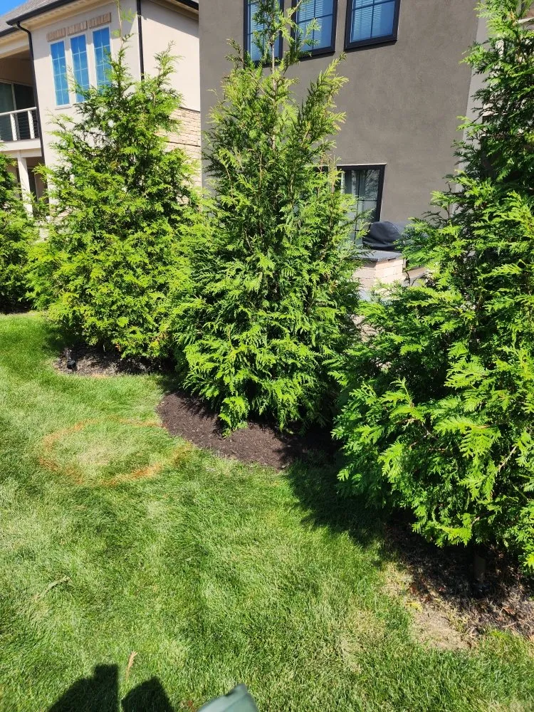 Professional landscape design for beautiful yards in Fulton, OH by Prestige Site Enhancements