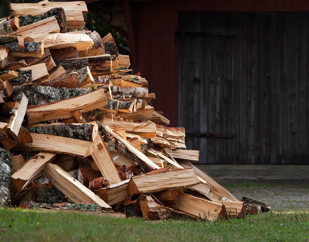 Expert yard cleanup service in Murray, UT by Prestige Tree And Landscape