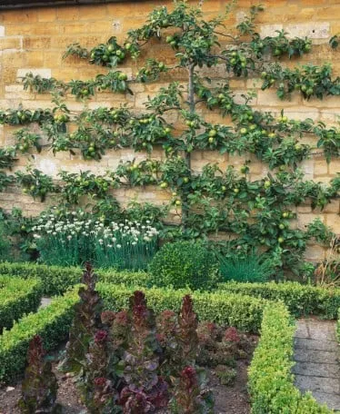 Reliable landscaping services experts serving Murray, UT - Prestige Tree And Landscape