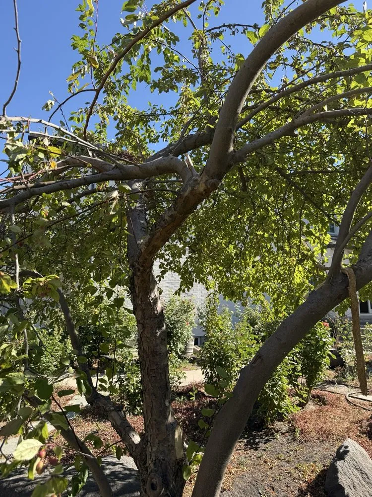 Professional landscaping services experts serving Murray, UT - Prestige Tree And Landscape