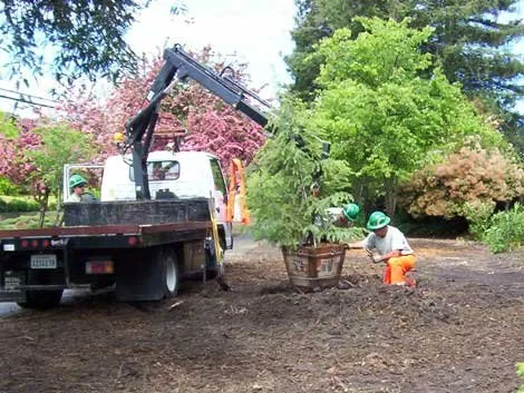 Expert yard maintenance experts serving Murray, UT - Prestige Tree And Landscape