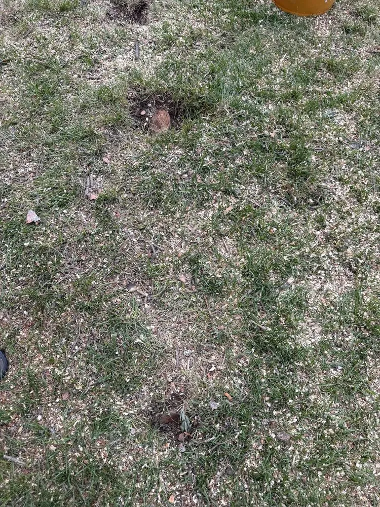 Local garden landscaping for residential properties across Murray, UT - Prestige Tree And Landscape