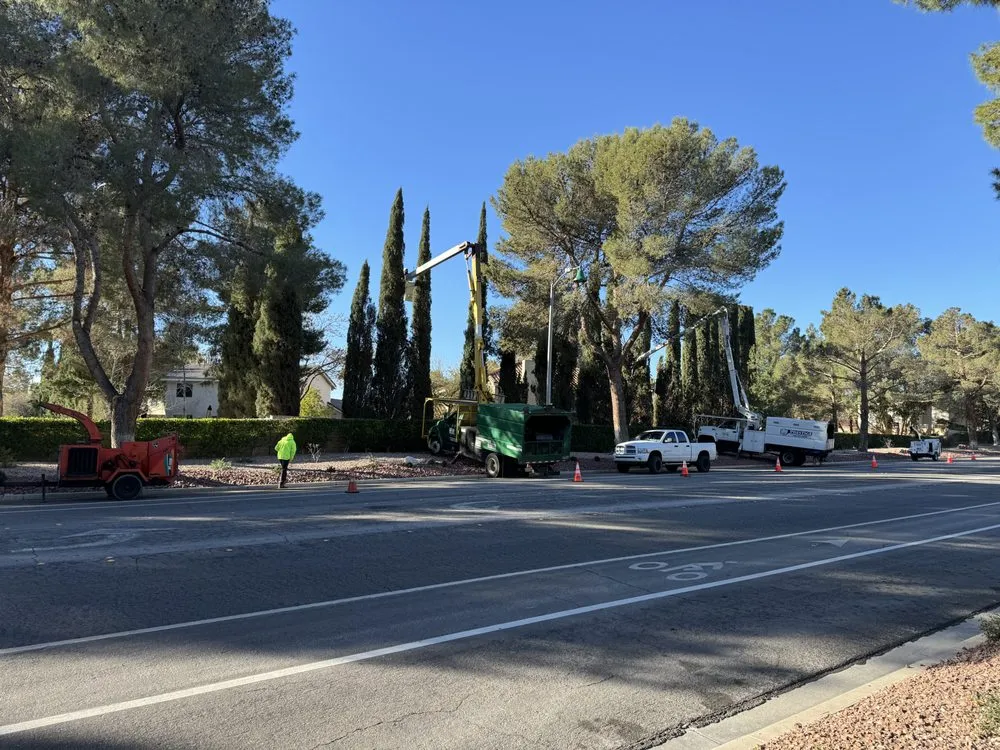 Professional residential landscaping for year-round maintenance in Las Vegas, NV by Prestige Tree and Landscape Services