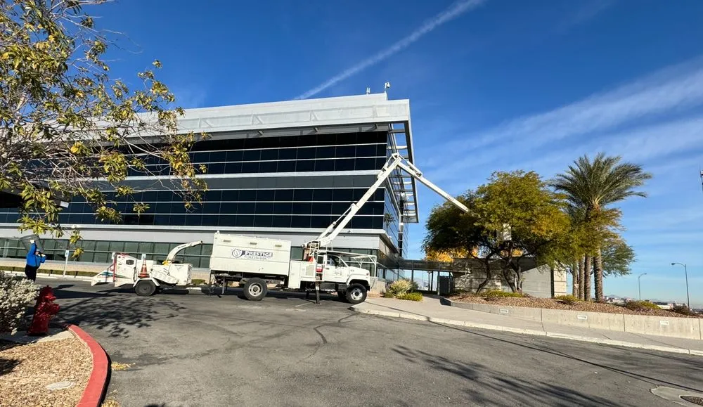 Trusted residential landscaping for beautiful yards in Las Vegas, NV by Prestige Tree and Landscape Services