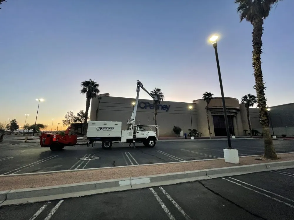 Custom residential landscaping in Las Vegas, NV by Prestige Tree and Landscape Services