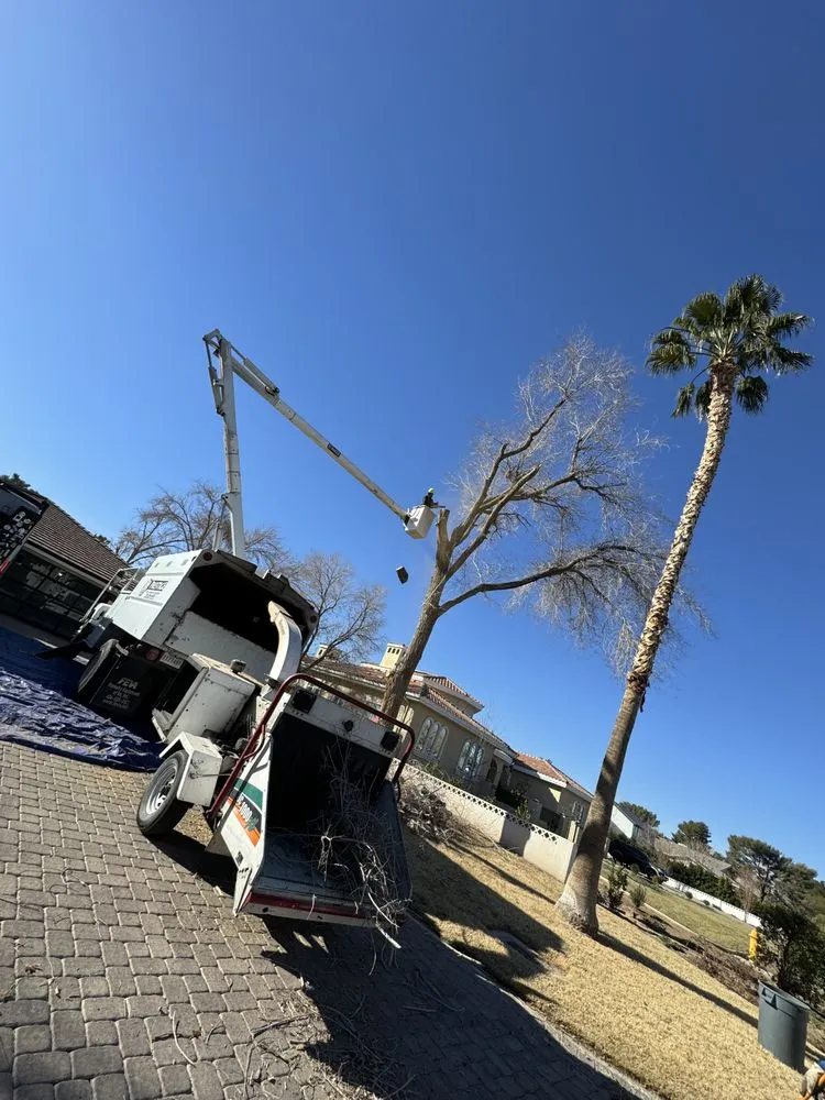 Affordable landscape installation experts serving Las Vegas, NV - Prestige Tree and Landscape Services