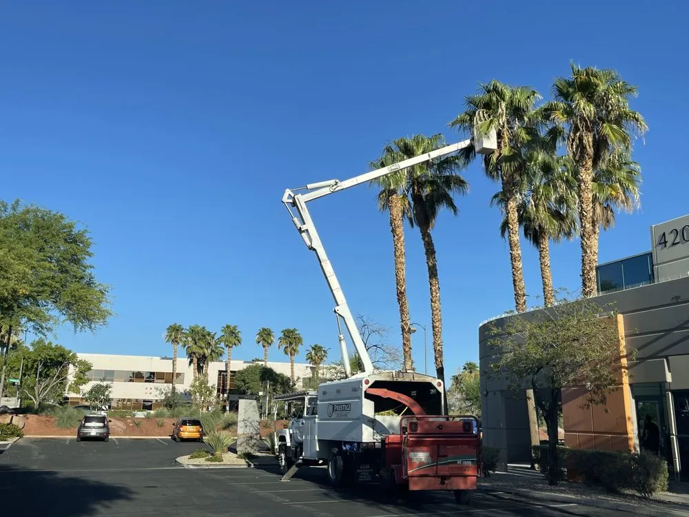 Reliable landscape installation experts serving Las Vegas, NV - Prestige Tree and Landscape Services