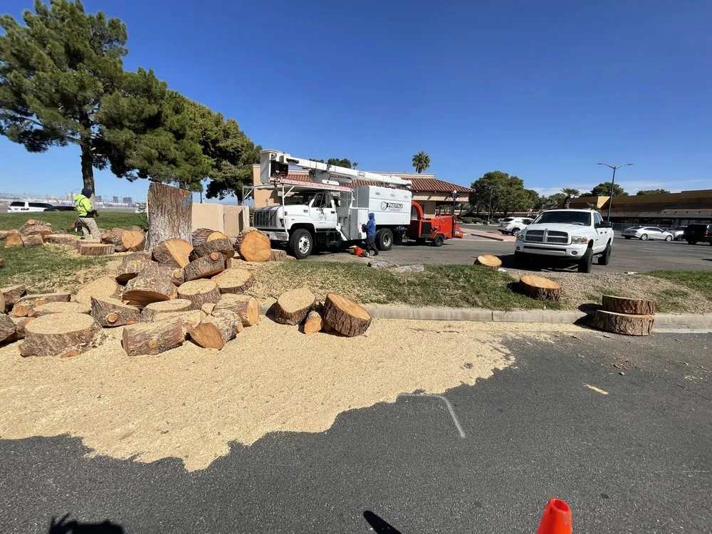 Custom landscaping services experts serving Las Vegas, NV - Prestige Tree and Landscape Services