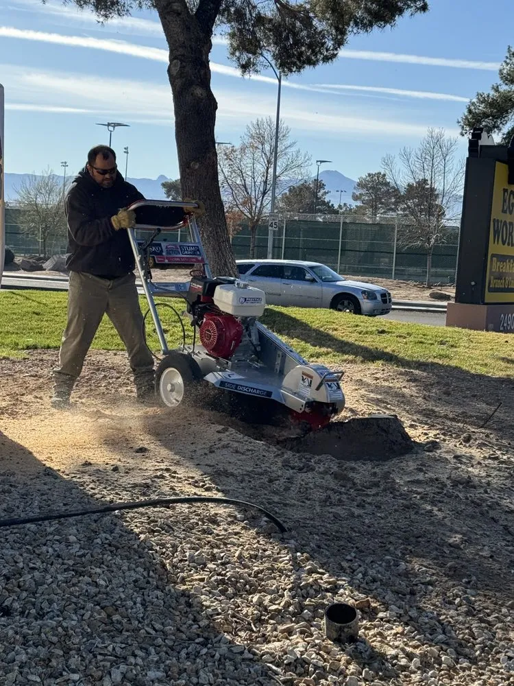 Expert landscape installation experts serving Las Vegas, NV - Prestige Tree and Landscape Services