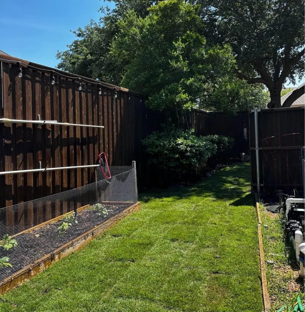 Top-rated landscaping services in Dallas, TX - Prestige Turf & Drainage