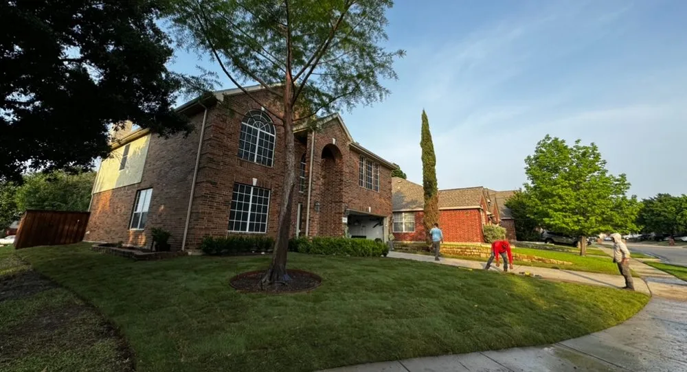Trusted landscape installation in Dallas, TX by Prestige Turf & Drainage