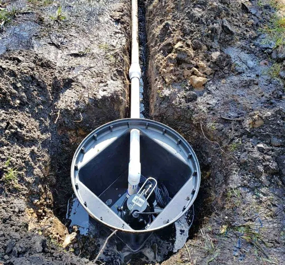 Top-rated outdoor landscaping in Dallas, TX by Prestige Turf & Drainage