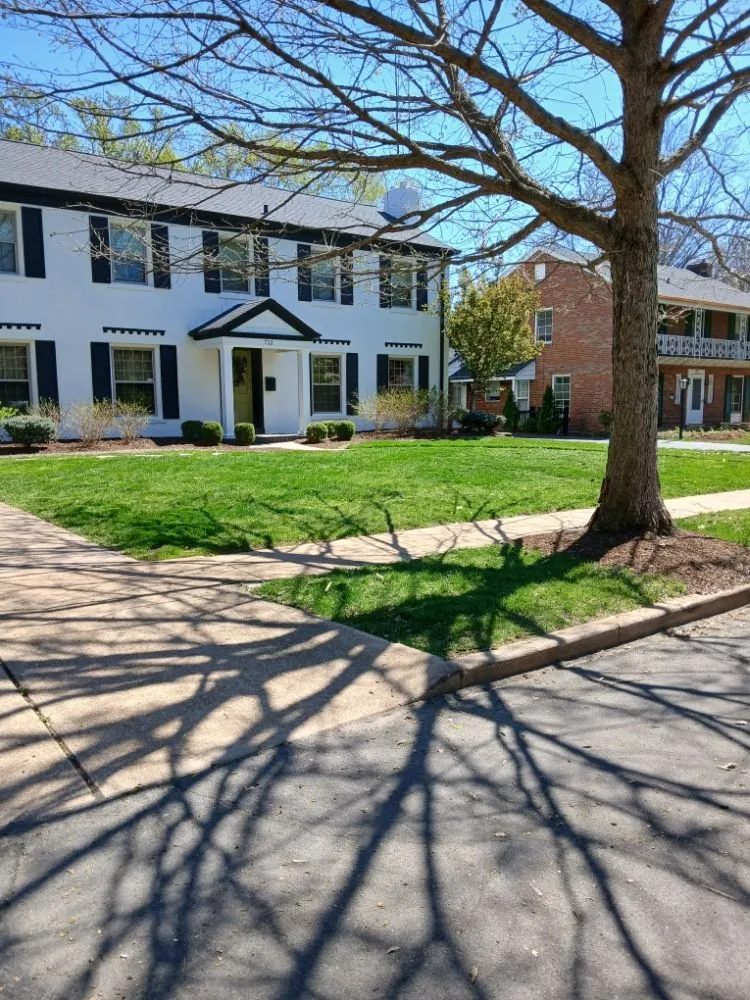 Expert landscape design with custom design in Florissant, MO by Prestige Turf