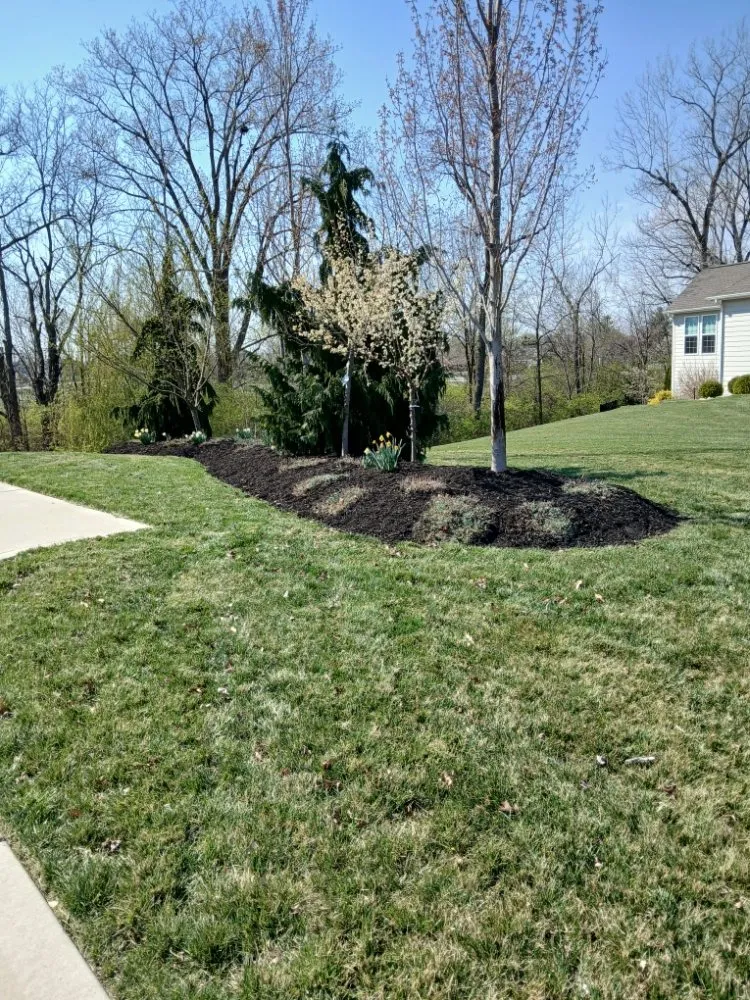 Expert landscaping services in Florissant, MO - Prestige Turf