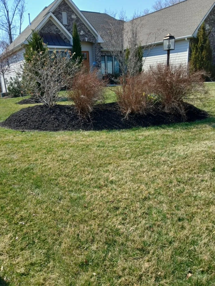 Local lawn mowing service in Florissant, MO - Prestige Turf