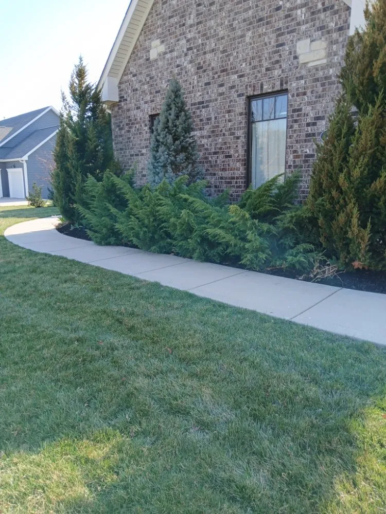 Reliable landscape installation in Florissant, MO - Prestige Turf