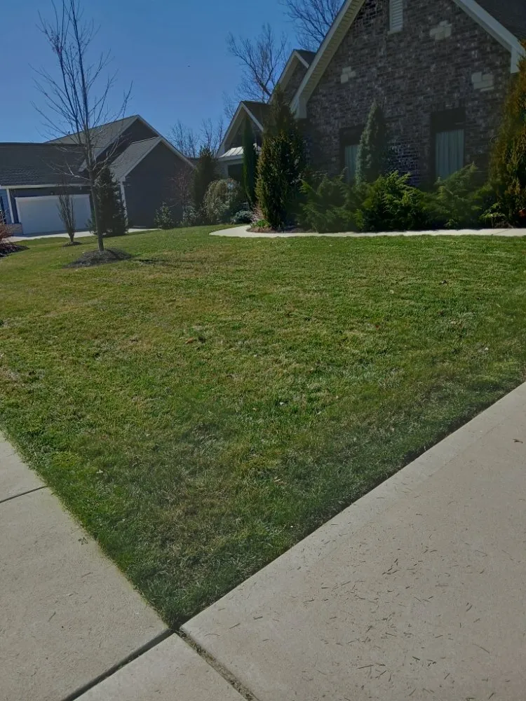 Affordable outdoor landscaping near you across Florissant, MO - Prestige Turf