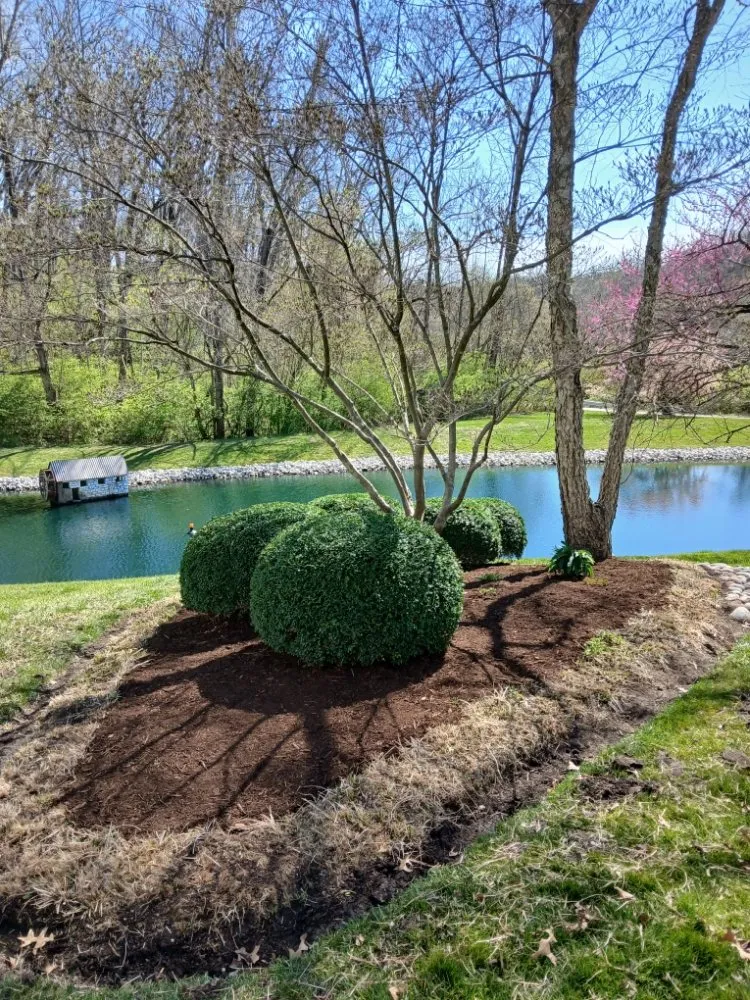 Reliable lawn mowing service in Florissant, MO - Prestige Turf