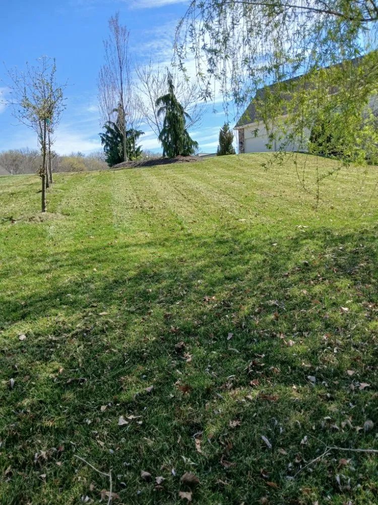 Reliable lawn mowing service with custom design across Florissant, MO - Prestige Turf