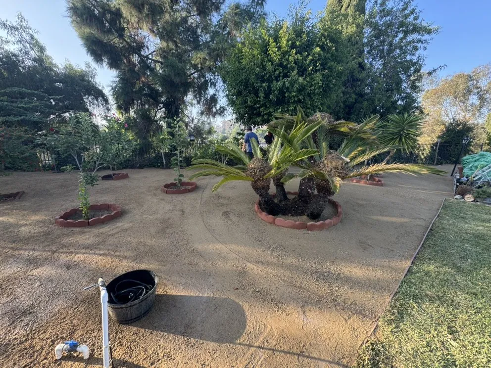 Custom lawn care service for beautiful yards across Stanton, CA - PrestigePro Landscape