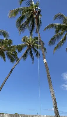 Prestigeslandscapes Logo