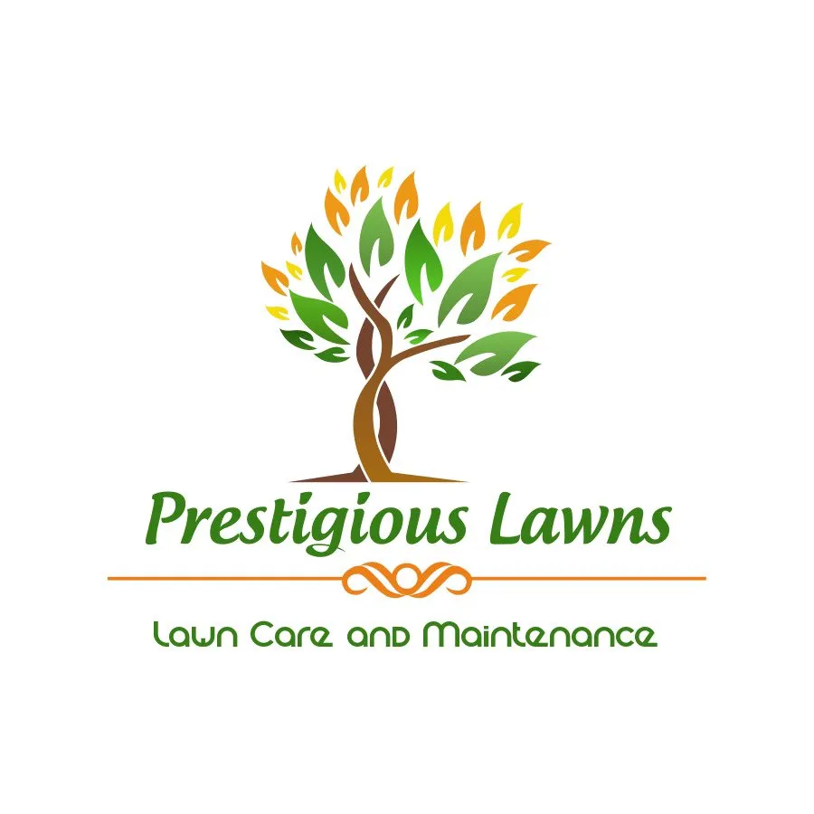 Custom lawn mowing service for outdoor upgrades in Round Rock, TX by Prestigious Lawns