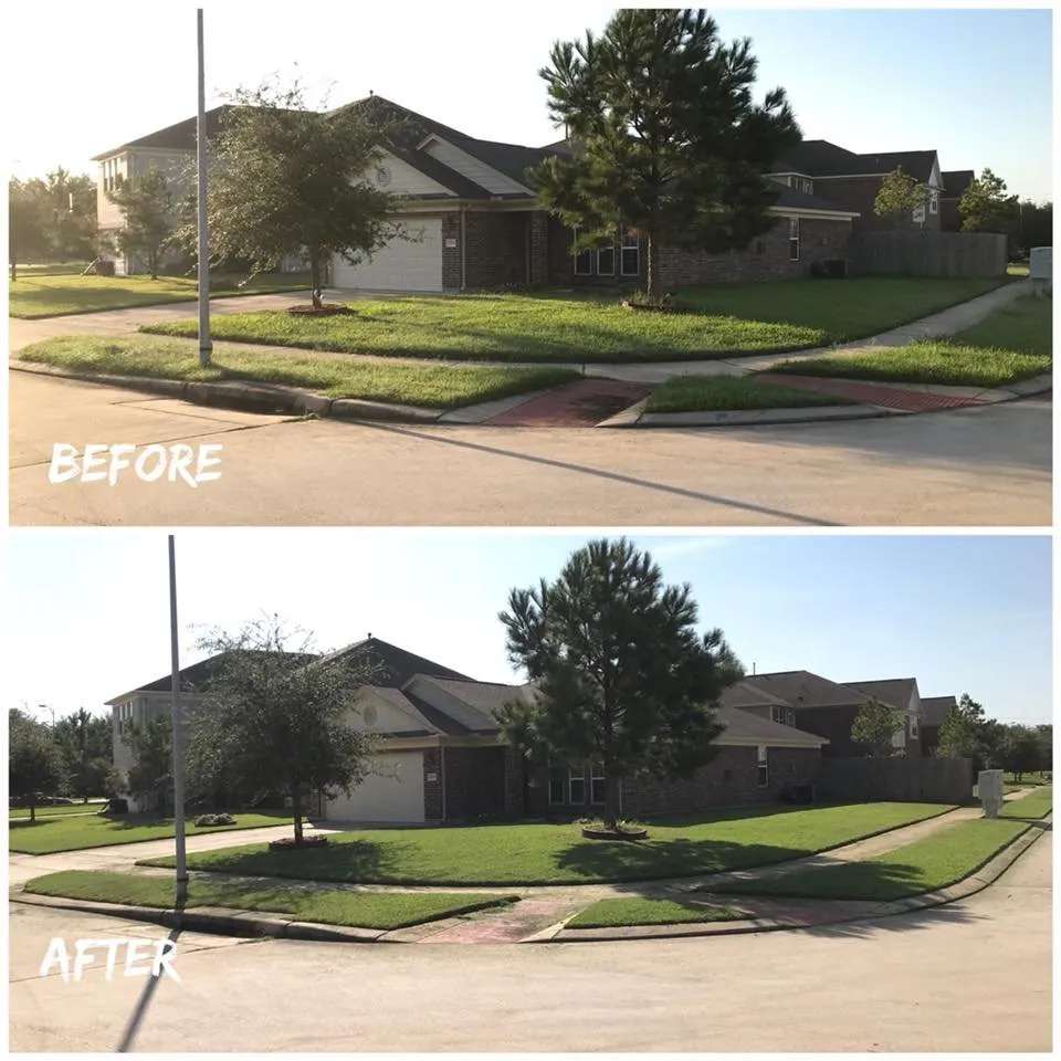 Affordable lawn care service in Katy, TX by Prestigious Preservators