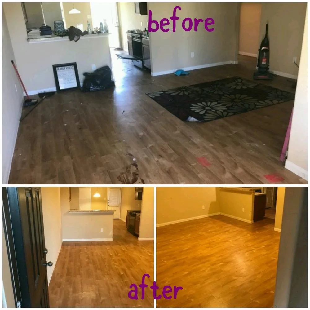 Top-rated yard cleanup service in Katy, TX by Prestigious Preservators