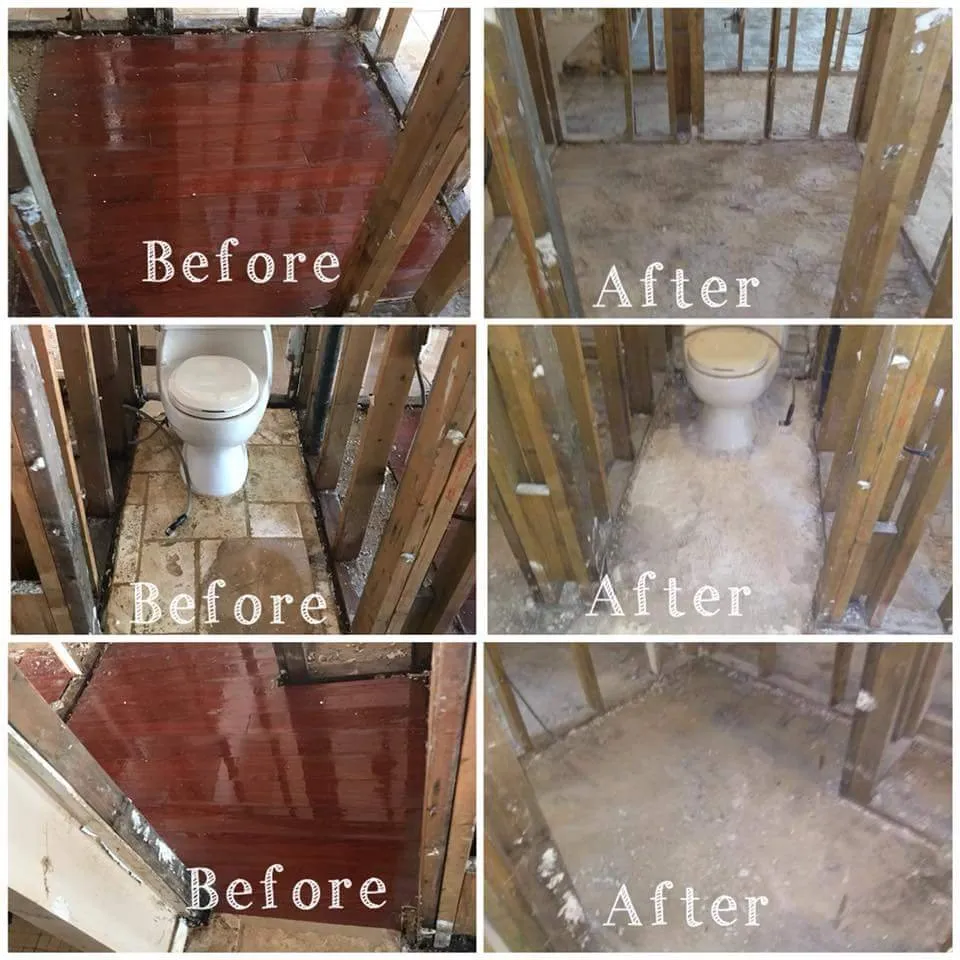 Top-rated outdoor landscaping in Katy, TX - Prestigious Preservators